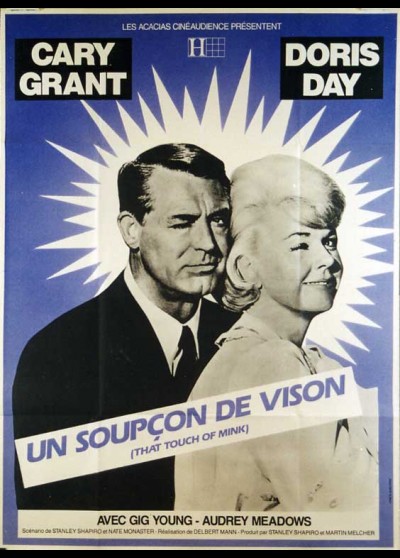 affiche du film UN SOUPCON DE VISON