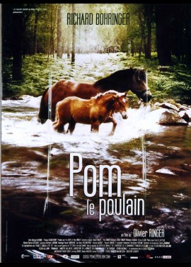 affiche du film POM LE POULAIN