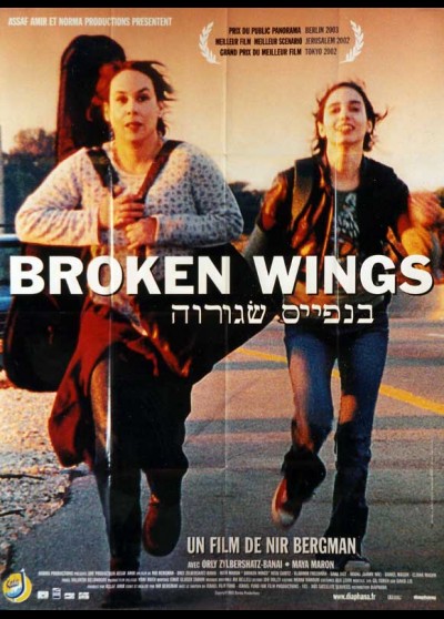 affiche du film BROKEN WINGS