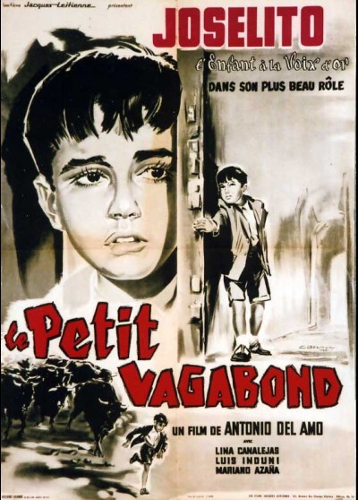 affiche du film PETIT VAGABOND (LE)