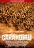 CARANDIRU movie poster