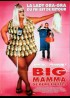 affiche du film BIG MAMMA DE PERE EN FILS