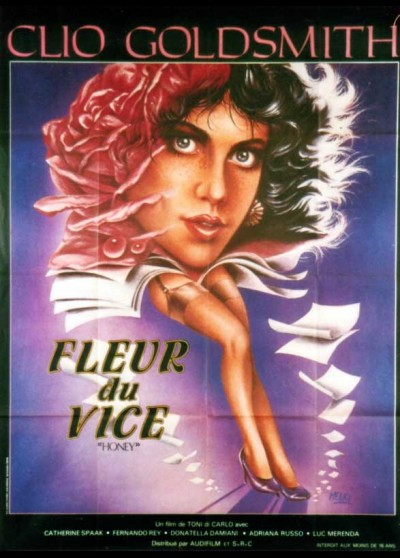 affiche du film FLEUR DU VICE