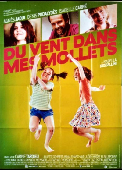 affiche du film DU VENT DANS MES MOLLETS