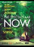 affiche du film SPECTACULAR NOW (THE)