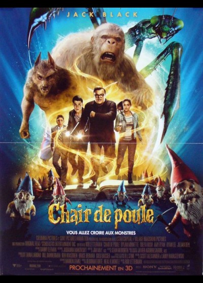 affiche du film CHAIR DE POULE