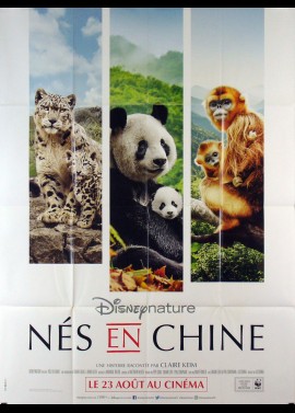 affiche du film NES EN CHINE