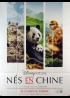 affiche du film NES EN CHINE