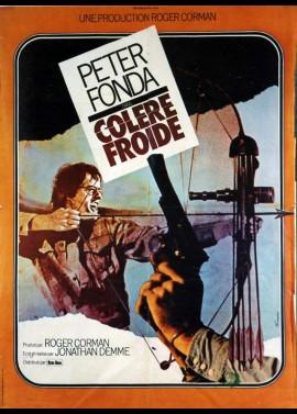 affiche du film COLERE FROIDE