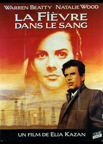 affiche du film FIEVRE DANS LE SANG (LA)