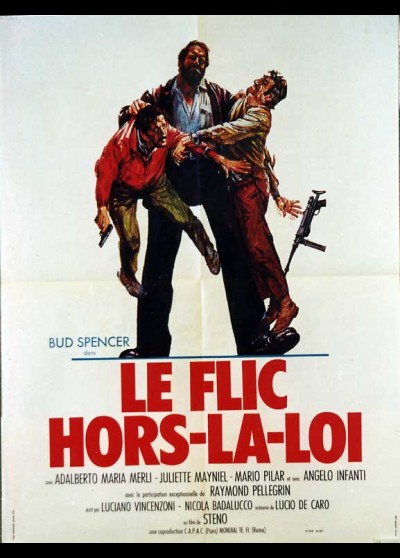 affiche du film FLIC HORS LA LOI (LE)