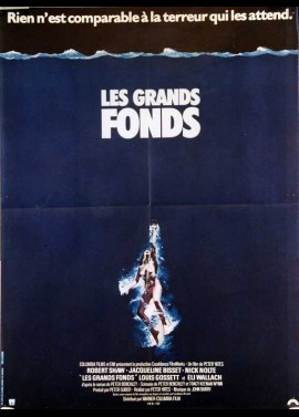 affiche du film GRANDS FONDS (LES)