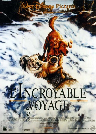 affiche du film INCROYABLE VOYAGE (L')