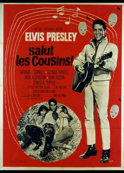 affiche du film SALUT LES COUSINS